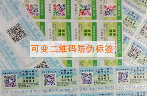 【可變二維碼】WWW.午夜福利视频標簽的功能和應用範圍